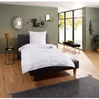 fan Microfaserbettdecke Komfort Plus, Bettdecke in 135x200 cm und weitere Größen erhältlich, Füllung: 100% Lyocell, Bezug: 100% Polyester, Made in Germany! Zu jeder Jahreszeit ideal für Schwitzer