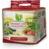 Pro Natur Pflanzerde Pro Natur Erdbeer- u. Gemüsewolle 850 gr