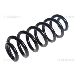 Triscan Feder hinten Audi Q5 2,0 875029507