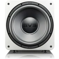 SVS SVS SB-1000 Pro Subwoofer Subwoofer