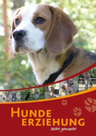 Hundeerziehung leicht gemacht [DVD] [2007]