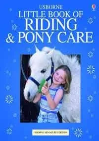 Usborn Complete Book of Riding and Pony Care (Usborne Little Books)