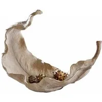 Mirabeau Dekoschale Schale Vibius beige