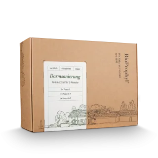 Darmsanierung