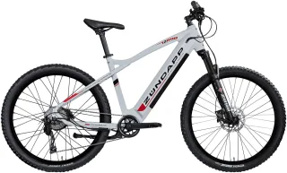 Zündapp "Z898" 10 Gang Kettenschaltung Heckmotor 250 W Pedelec, Elektrofahrrad für Damen u. Herren, MTB