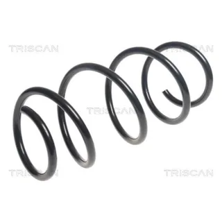 Triscan Feder vorne Mercedes A-Klasse B-Klasse Cla 875023176