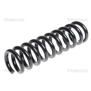 Triscan Feder hinten Ssangyong Rexton 2,7