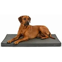 lionto Tierkissen orthopädisch, druckentlastend, Lederimitat, Memory-Foam-Liegefläche, rutschfeste Unterseite & abnehmbarer Bezug