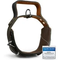 MediMuc Hunde-Halsband Hundehalsband mit Griff, Lederhalsband, Griffhalsband