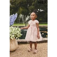 Next Tüllkleid Mesh-Kleid mit Rüschenkragen (1-tlg)