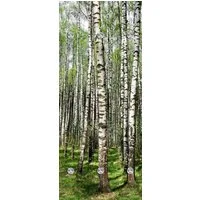 queence Wandgarderobe Birke - Garderobe aus hochwertigem Acrylglas Bäume, Wald, Birken (1 St), 50x120 cm - mit Edelstahlhaken