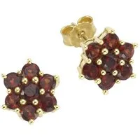 Vivance Paar Ohrstecker 333/- Gelbgold mit Granat