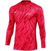 Nike Torwarttrikot Nike Performance Gardien V Torwarttrikot