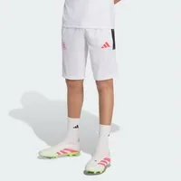 adidas Performance Shorts LAMINE YAMAL KIDS TRAININGSSHORTS (1-tlg)