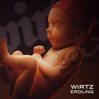 Erdling [Audio CD] Wirtz