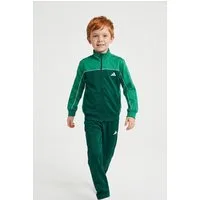 adidas Sportswear Trainingsanzug J CP TR TS (2-tlg), für Kinder und Teens, zweiteiliges Set, mit Stehkragen