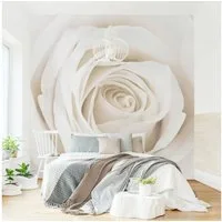 Bilderdepot24 Fototapete Rosen Pretty White Rose Blumen Natur Pflanzen Wanddeko, Glatt, Matt, (Vliestapete inkl. Kleister oder selbstklebend), Wohnzimmer Schlafzimmer Küche Flur Motivtapete Vliestapete Wandtapete