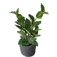 Kunstblume Grünpflanze im Topf Kunstpflanze Flora, HTI-Living, Höhe 27 cm, Kunstblume Dekoration