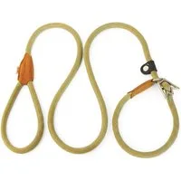 Rudelkönig Hundeleine Retrieverleine Tilda, Führleine mit Zugstopp, hochwertige Hundeleine, Nylon (1-tlg., Rudelkönig), Leine und Halsband in einem