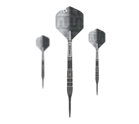 Target Nathan Aspinall X Echo Swiss Point Steeldarts