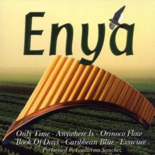 Perfect Panpipes Play [Audio CD] Enya