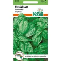 SAMEN PFANN Kräutersamen Basilikum, Genoveser - Basilikum-Samen Gewürz Saatgut Samen, Ocimum basilicum