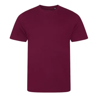 Ecologie - "Cascades" T-Shirt für Herren/Damen Unisex (Burgunderrot)