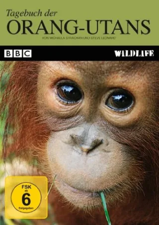 Tagebuch der Orang-Utans [DVD] [2010]