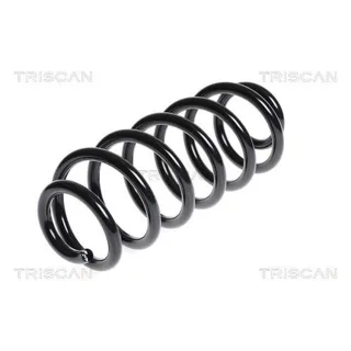 Triscan Feder hinten Seat Altea Leon 2,0