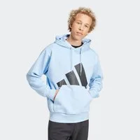 adidas Sportswear Kapuzensweatshirt ESSENTIALS BIG LOGO HOODIE mit Kapuze, ohne Verschluss, aus Baumwolle