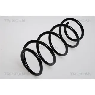 Triscan Feder vorne Opel Astra G 875024005
