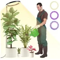 Laybasic Pflanzenlampe LED Vollspektrum Pflanzenlicht Wachstumslampe 26cm Großer Ring, 160LEDs Pflanzenleuchte 35-155cm Höhenverstellbar, Tageslichtlampe, 3 Lichterfarben, mit Timer Dimmbar für Zimmerpflanzen