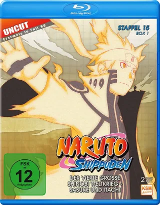 Naruto Shippuden - Staffel 15 Box 1: Der vierte große Shinobi Weltkrieg - Sasuke und Itachi (Uncut) [Blu-ray]