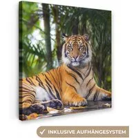 OneMillionCanvasses® Leinwandbild Tiger - Tiere - Wald - Dschungel, Fotodruck (1 St), Wandbild, Deko Schlafzimmer Wohnzimmer Flur 20x20 cm