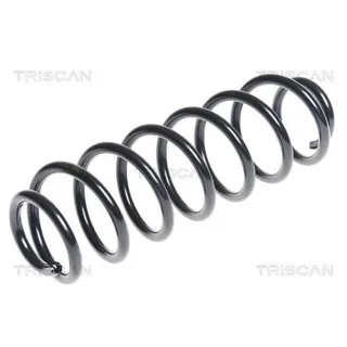Triscan Feder hinten VW Polo 9N 875029300