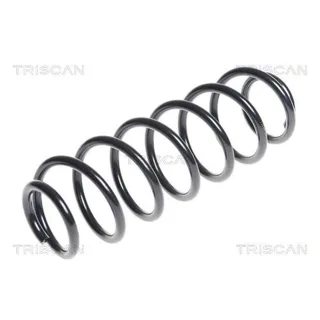 Triscan Feder Hinten Seat Ibiza 1,0 TSI VW Polo 6R 1,2 TDI