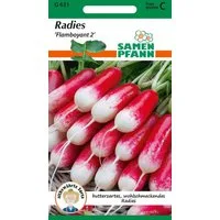 SAMEN PFANN Gemüsesamen Radies, Flamboyant - Radieschen-Samen Saatgut Samen, Raphanus sativus