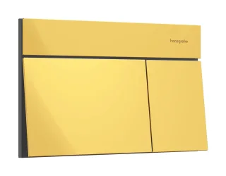 Hansgrohe iFrame Element E Betätigungsplatte für 2-Mengen-Spülung, Polished Gold Optic, 66003990 66003990