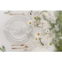 texpot Stoffserviette Vorteilspack Mundtücher Servietten 40x40 cm, (4 St)