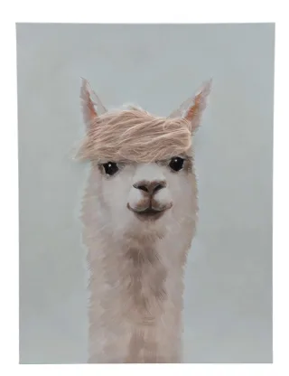 Keilrahmenbild Alpaka