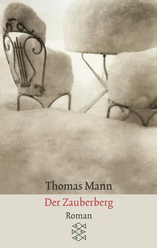 Der Zauberberg. Roman. [Taschenbuch] [2008] Mann Thomas