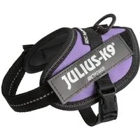 Julius-K9 Hunde-Powergeschirr IDC Powergeschirr lila