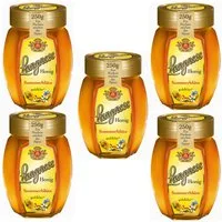 Langnese Honig, Langnese Honig Sommerblüten goldklar süß und fein 250g 5er Pack