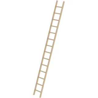 Munk Sprossen-Anlegeleiter Holz ohne Traverse - 033114