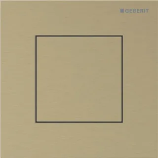 Geberit Ersatzteile Typ 40 Betätigungsplatte, eckig, für Urinalsteuerung, 246119QF1 246119QF1