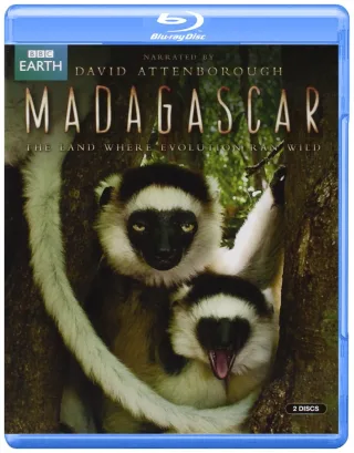 Madagascar [Blu-ray] [UK Import]