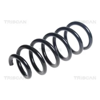 Triscan Feder vorne BMW X5 F15 875011267