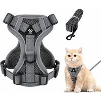 Ledander Katzen-Geschirr Verstellbares Katzengeschirr mit Leine, reflektierend und atmungsaktiv, Brustgeschirr für Katzen, Kätzchen, kleine Hunde und Welpen