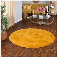 Pergamon Fellteppich Fellteppich Luxus Super Soft Plush Rund, Rund, Höhe: 25 mm