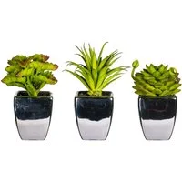 Kunstpflanze Loreen Sukkulente, OTTO home, Höhe 13 cm, im Topf, 3er Set